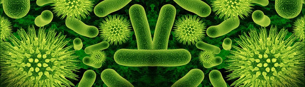 Bacteria - Chemicals for Sanitizers